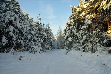 和朋友一决胜负！《快到碗里来》支持多人对战模式